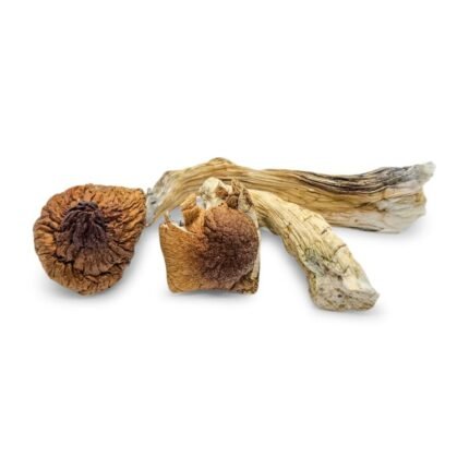 buy magic mushrooms