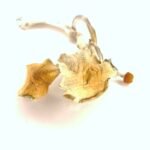 magic mushrooms sale